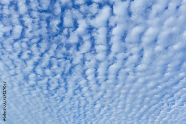 Fototapeta ひつじ雲の空