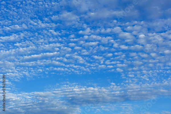Fototapeta ひつじ雲の空