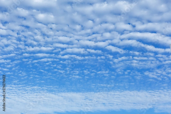 Obraz ひつじ雲の空
