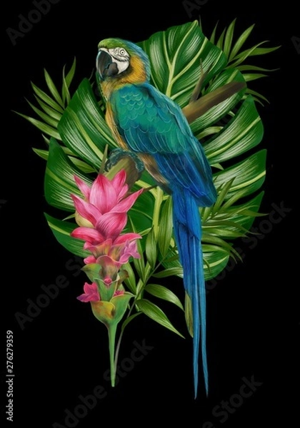 Obraz Hand drawn  allium botanical tropical hummingbird parrot leaf illustration 