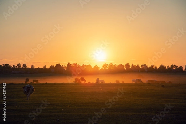 Obraz sunset over country fields