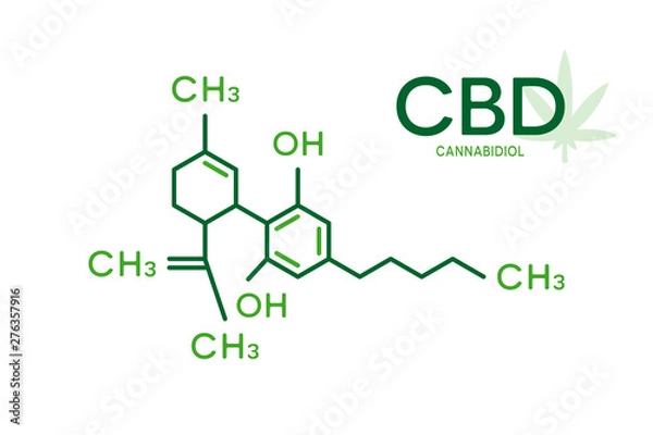 Fototapeta Wzór cząsteczkowy CBD. Struktura cząsteczki kanabidiolu na białym tle.