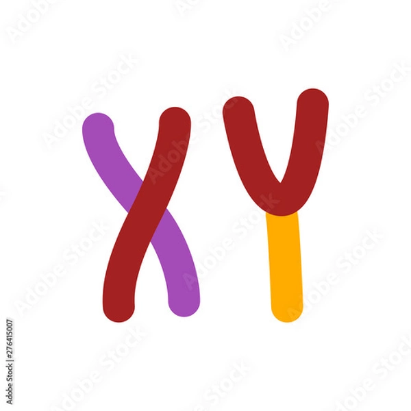 Fototapeta chromosomes flat vector icon