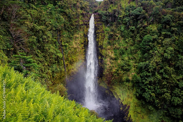 Obraz waterfall in forest
