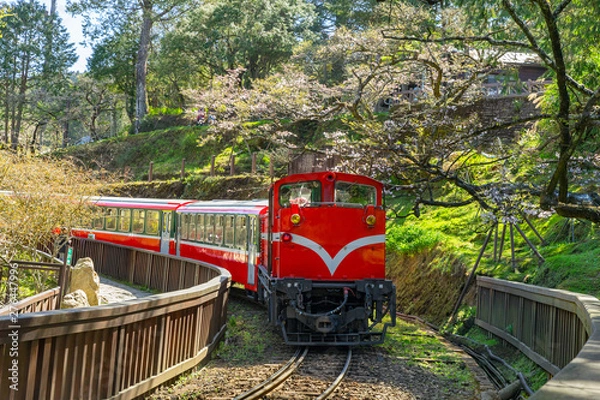 Obraz railway in alishan forest recreaction area