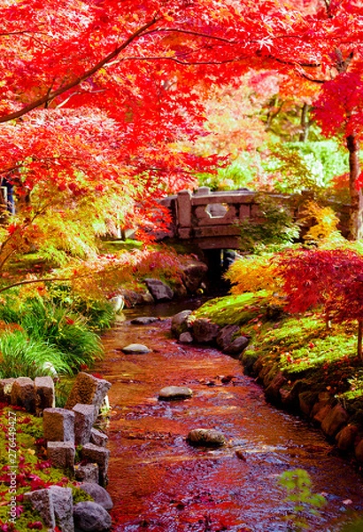 Fototapeta 美しい日本の紅葉　京都にて