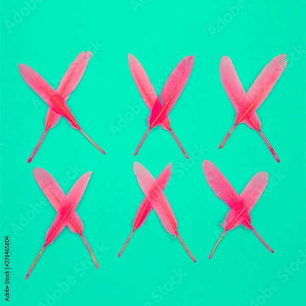 Fototapeta Feathers design concept. Minimal flat lay art