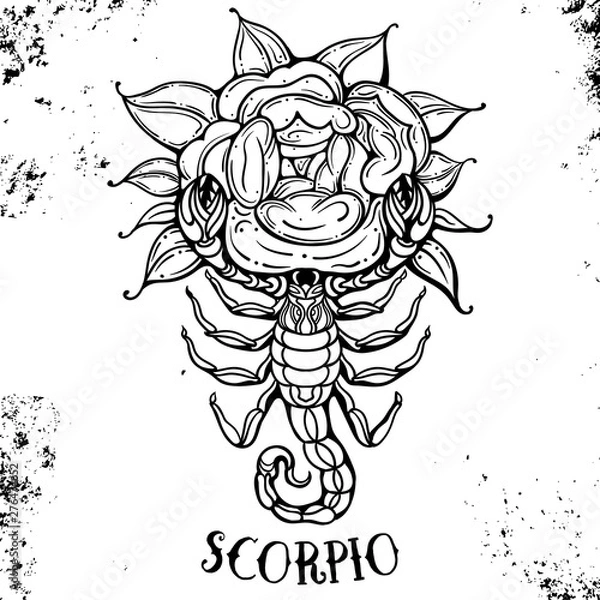 Fototapeta Beautiful line art filigree zodiac symbol. Black sign on vintage background. Vector clipart.Elegant jewelry tattoo. Scorpio