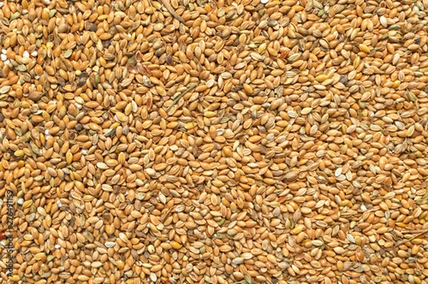 Fototapeta Background texture of crushed seed and grain mix for livestock and bird feed