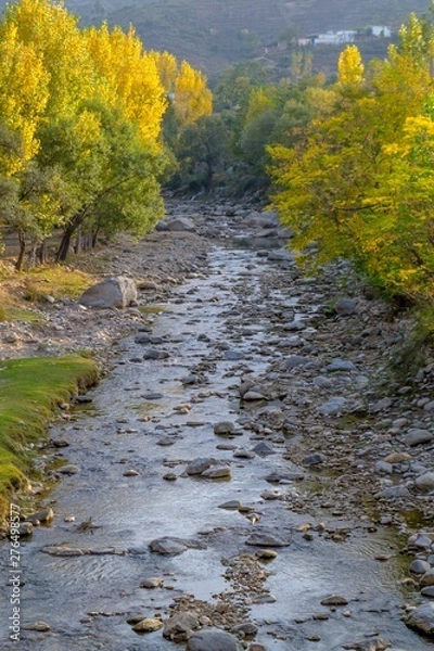 Obraz A river in yellow autumn trees