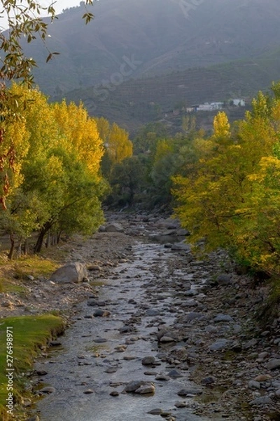 Obraz A river in yellow autumn trees
