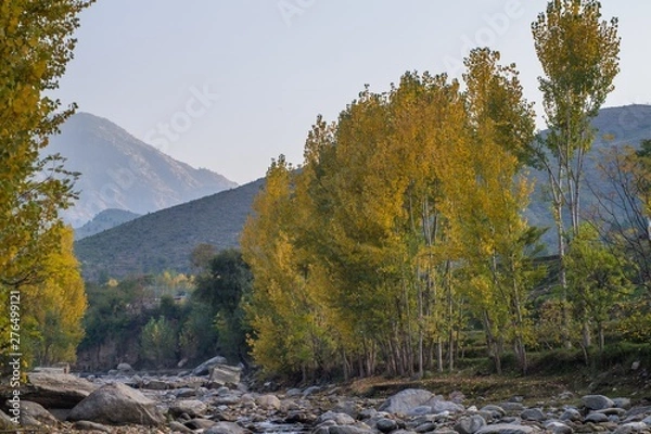 Obraz Autumn trees reflections in a lake
