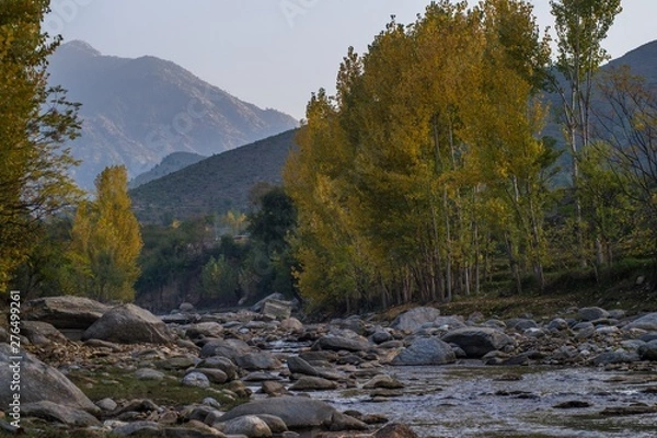 Obraz Autumn trees reflections in a lake