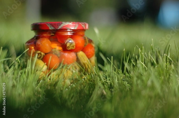 Obraz jar in the grass