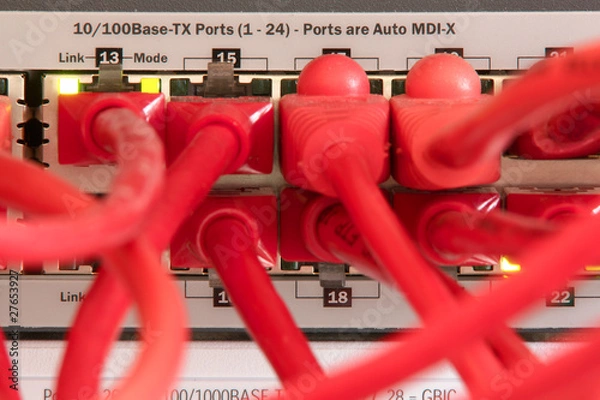 Obraz Netzwerkkabel / Switch