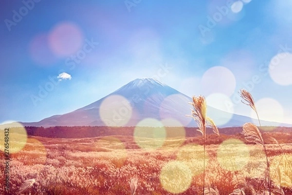 Fototapeta view to Fuji mount in Japan