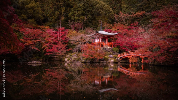 Fototapeta 京都府 醍醐寺 紅葉