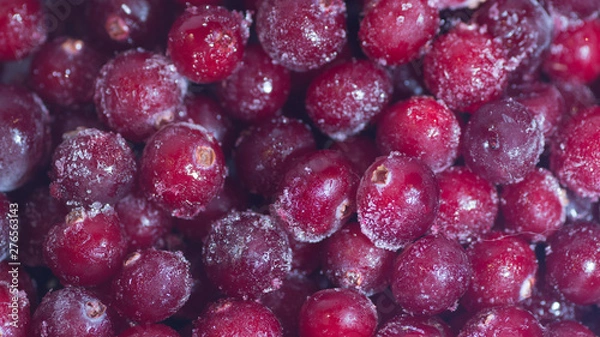 Fototapeta lots of fresh frozen cranberries pile on the table