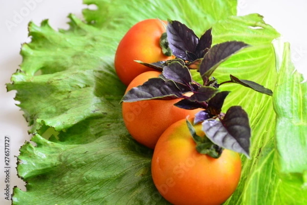 Obraz  Tomatoes with basil on lettuce