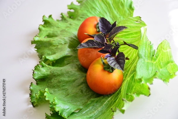Obraz  Tomatoes with basil on lettuce