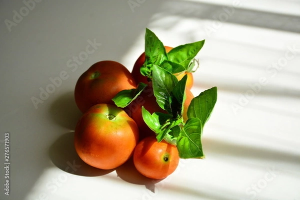 Obraz Tomatoes with basil