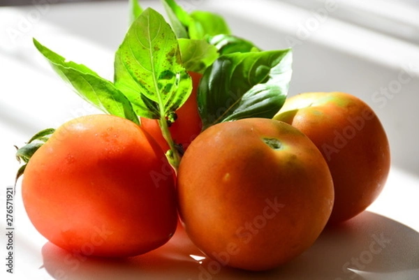 Obraz Tomatoes with basil