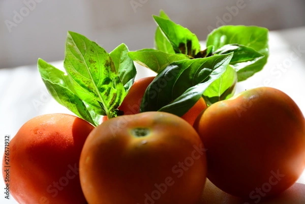 Obraz Tomatoes with basil
