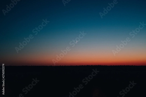 Obraz Late evening sky and landscape. Calm summer scenery night. Camping in wilderness. Sunset, sunrise in park. Scenic, picturesque view backdrop, background. Wild forest at nighttime