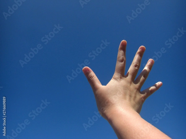 Fototapeta 空に掲げる手