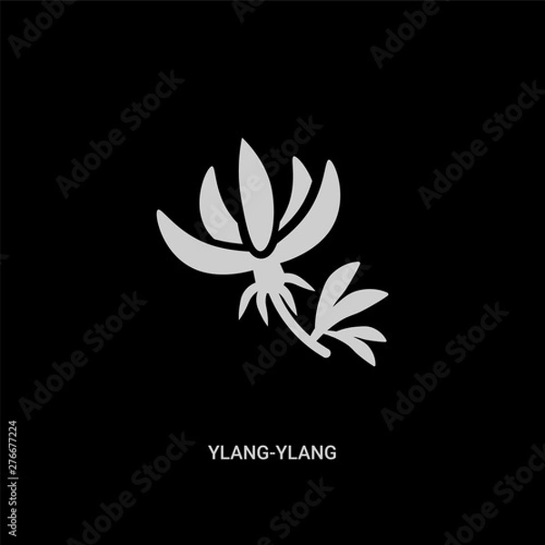 Obraz white ylang-ylang vector icon on black background. modern flat ylang-ylang from nature concept vector sign symbol can be use for web, mobile and logo.
