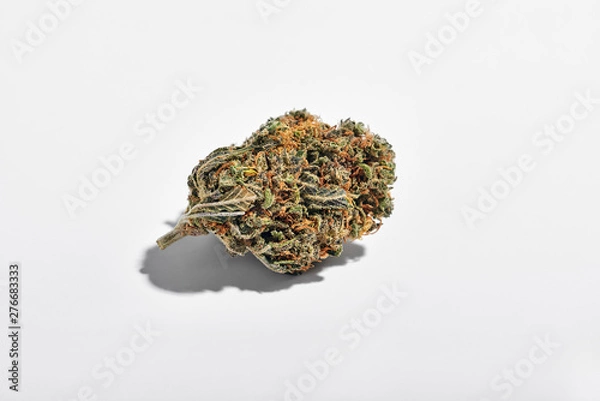 Obraz Dry marijuana bud isolated on white background. Studio image, close up.