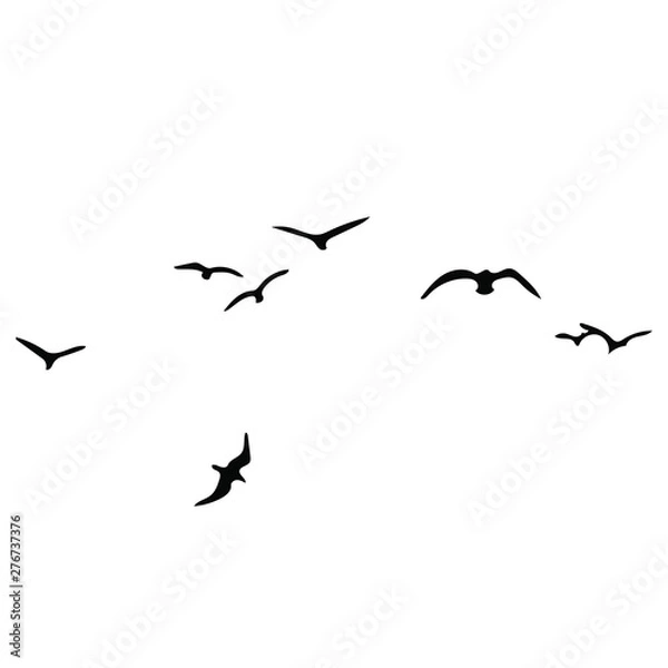 Obraz birds vector silhouette