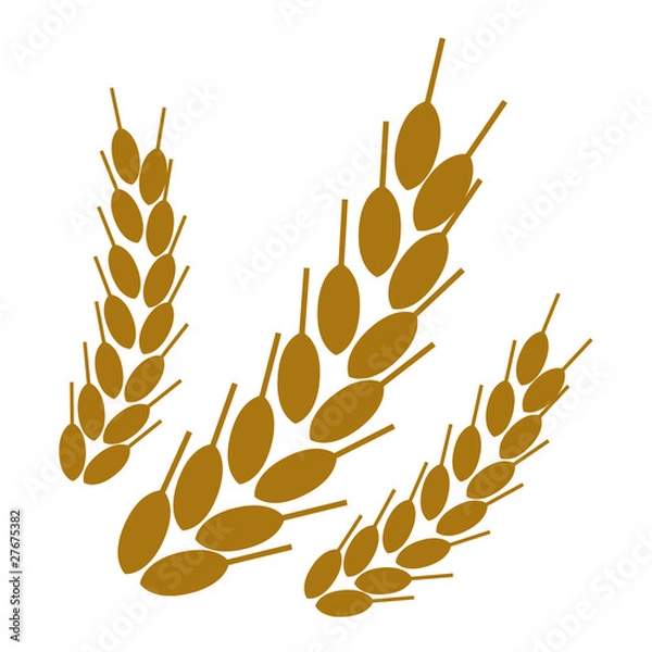 Fototapeta Vector Blé Céréale Vecteur