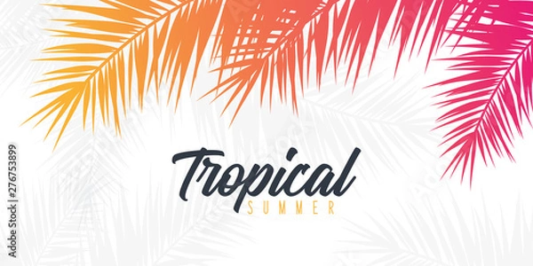 Fototapeta Summer Tropical palm leaves. Exotic palms tree. Floral Background.