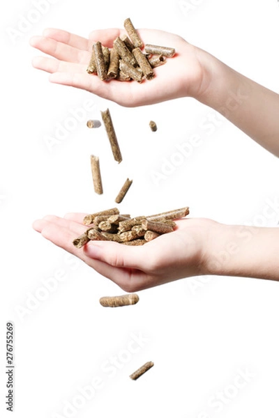 Obraz Biomass - pellet