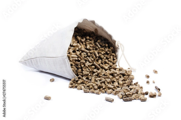 Obraz Biomass - pellet