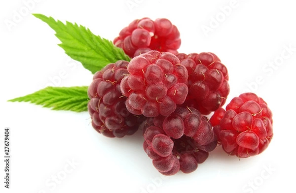 Fototapeta Raspberry