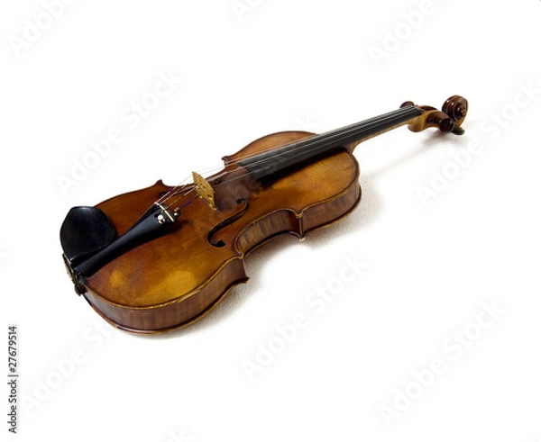 Obraz violin