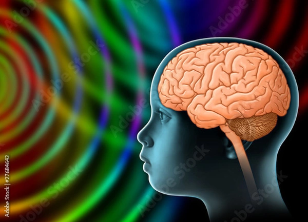 Obraz Kinderhirn