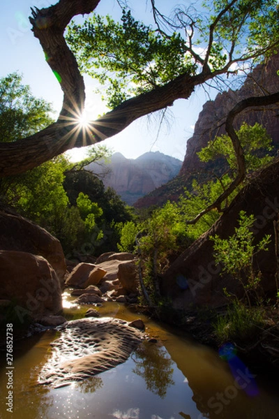 Obraz Reflection of sunburst and cottonwood trees in Zion National Park