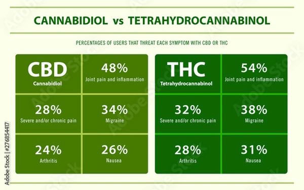 Fototapeta CBD vs THC percentage of users treatment horizontal infographic illustration about cannabis as herbal alternative medicine and chemical therapy, healthcare and medical science vector.