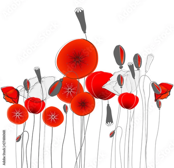 Fototapeta Vector beautiful poppies illustration