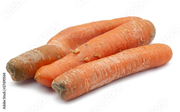Obraz carrot