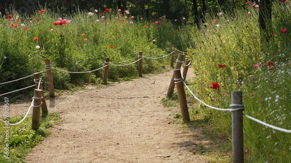 Obraz 꽃과 길이 반겨주다.