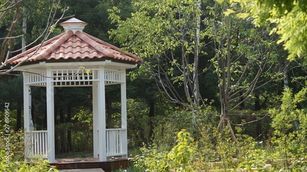 Obraz 숲 속의 작은 휴식처