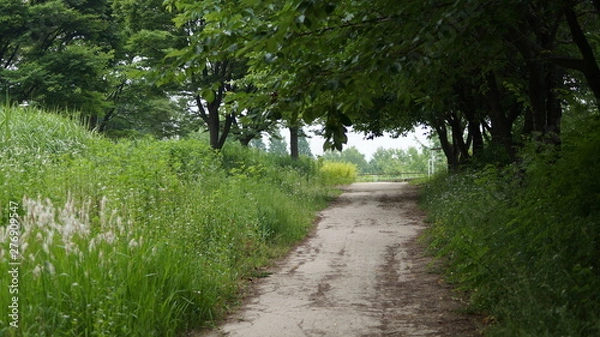 Obraz 산 속에서 출구찾기