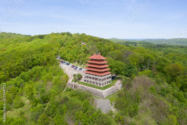 Obraz Pagoda at Reading