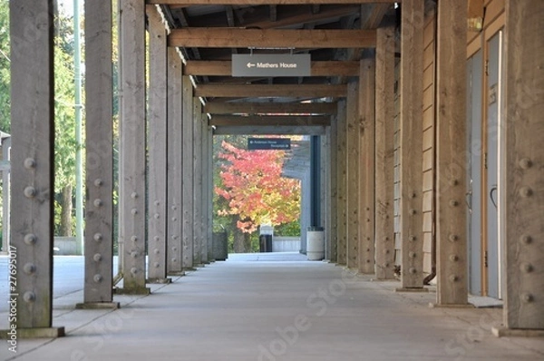 Fototapeta Columned hallway with nature view
