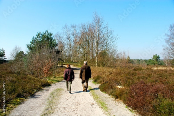 Obraz forrest path with hikers.