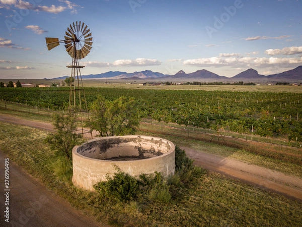 Obraz Sonoita Vineyard